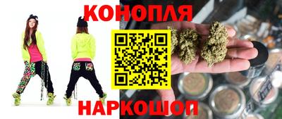 крисы Малгобек