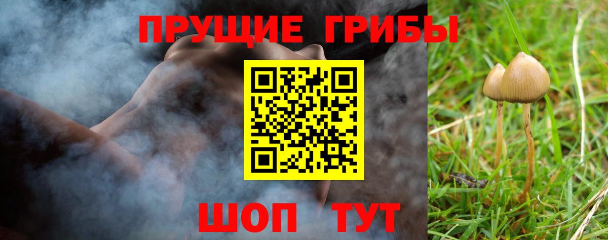 Галлюциногенные грибы мухоморы  хочу   Галлюциногенные грибы GOLDEN TEACHER  Вязьма  Вход с VPN 